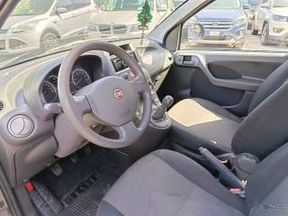 FIAT Panda usata 8