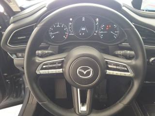 MAZDA CX-30 usata, con Boardcomputer