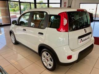 FIAT Panda usata, con Alzacristalli elettrici
