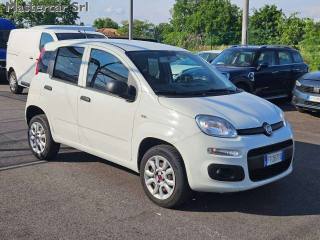 FIAT Panda usata 7