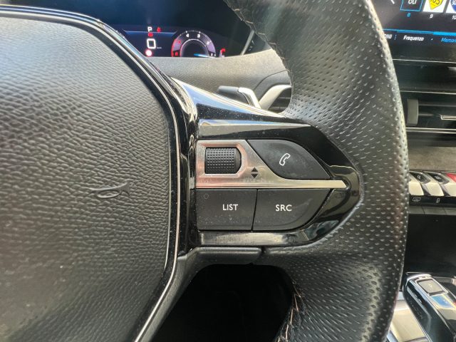 PEUGEOT 3008 usata, con Vetri oscurati