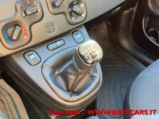 FIAT Panda usata, con Airbag testa