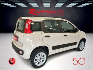 FIAT Panda usata 6
