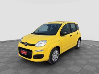 FIAT Panda Pandina 1.0 FireFly 65 CV Hybrid Pop