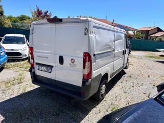 FIAT Ducato usata, con Filtro antiparticolato