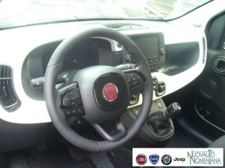 FIAT Panda Cross usata, con Volante in pelle