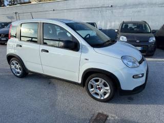 FIAT Panda usata, con Chiusura centralizzata
