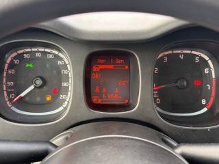 FIAT Panda usata 14