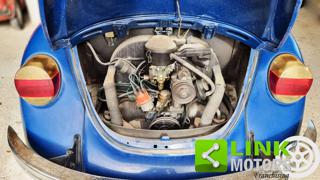 VOLKSWAGEN Maggiolone usata 7