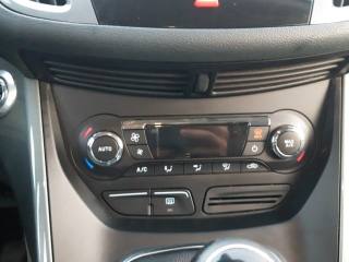 FORD C-Max usata, con Fendinebbia