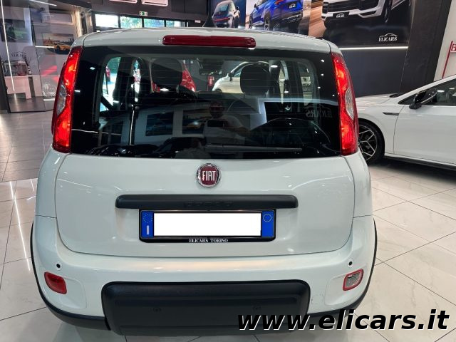 FIAT Panda usata, con Antifurto