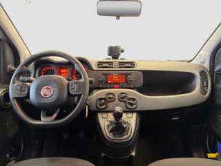 FIAT Panda usata 11