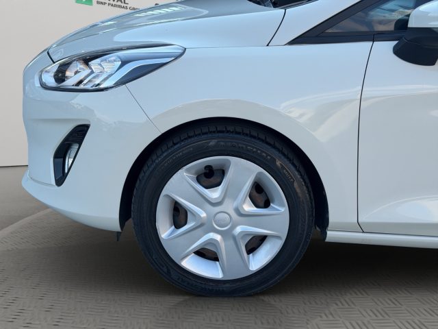 FORD Fiesta usata 18