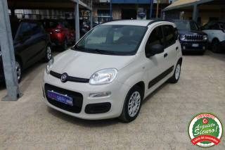 FIAT Panda usata, con Airbag Passeggero