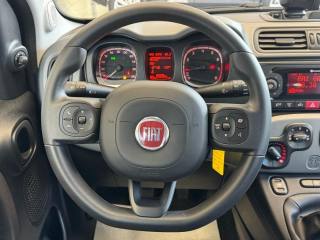 FIAT Panda usata, con ESP