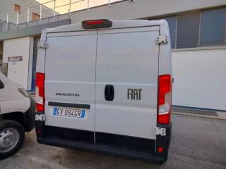 FIAT Ducato usata, con Servosterzo