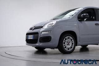 FIAT Panda usata 42
