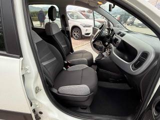 FIAT Panda usata 17