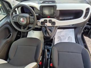 FIAT Pandina usata, con ESP