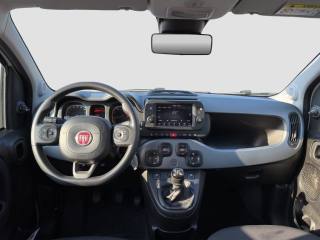 FIAT Panda usata 11