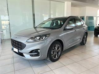 FORD Kuga 1.5 tdi 120cv ST-Line Automatica