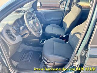FIAT Panda usata, con Antifurto