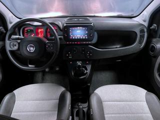 FIAT Panda Cross usata, con Controllo automatico clima