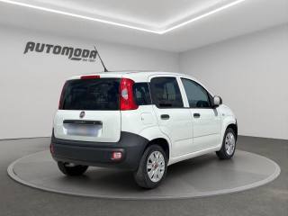 FIAT Panda usata, con Airbag Passeggero