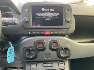 FIAT Panda Cross usata, con Climatizzatore