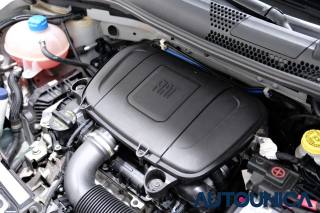 FIAT 500 usata 55