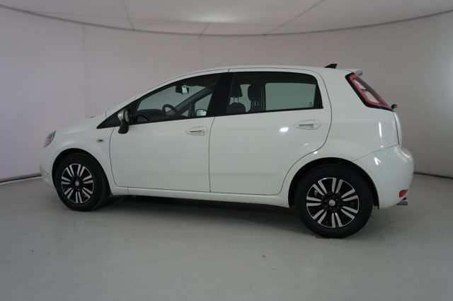 FIAT Punto usata 23