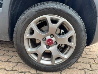 FIAT Panda usata, con Trazione integrale