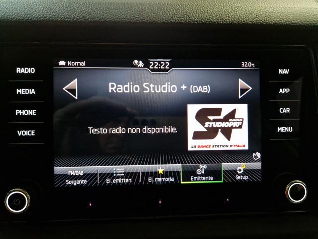 SKODA Kodiaq usata, con Vetri oscurati