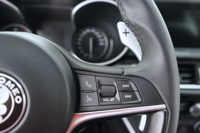 ALFA ROMEO Stelvio usata 48