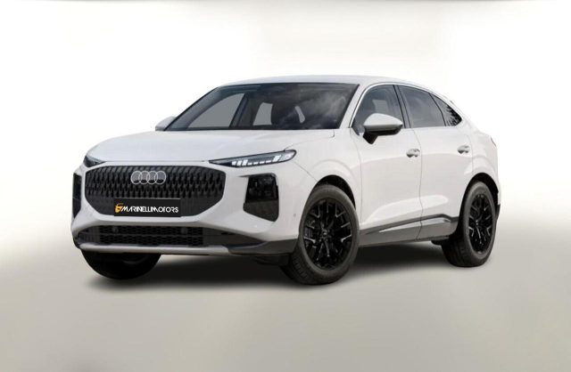 AUDI Q3 usata, con Park Distance Control