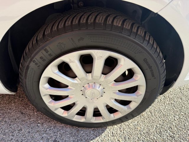 FORD Fiesta usata 14