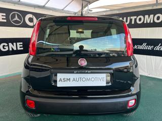 FIAT Panda usata, con Alzacristalli elettrici