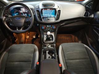 FORD Kuga usata, con Cronologia tagliandi