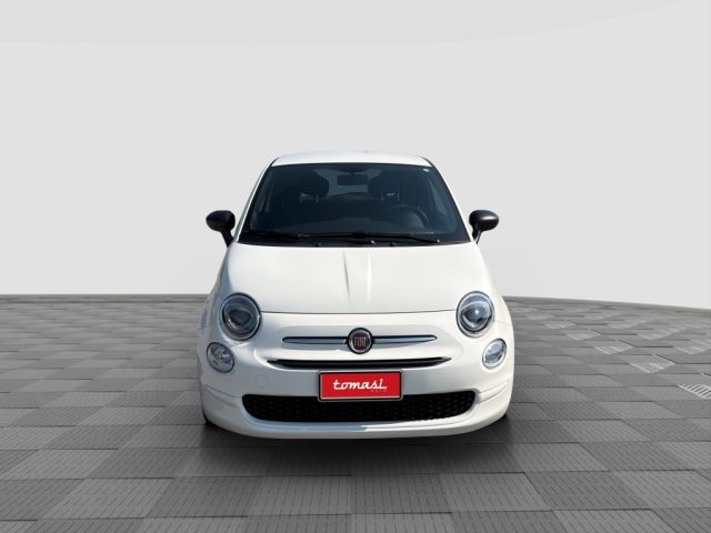 FIAT 500 usata 7