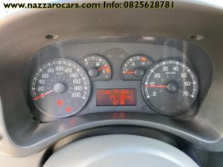 FIAT Panda usata, con Fendinebbia