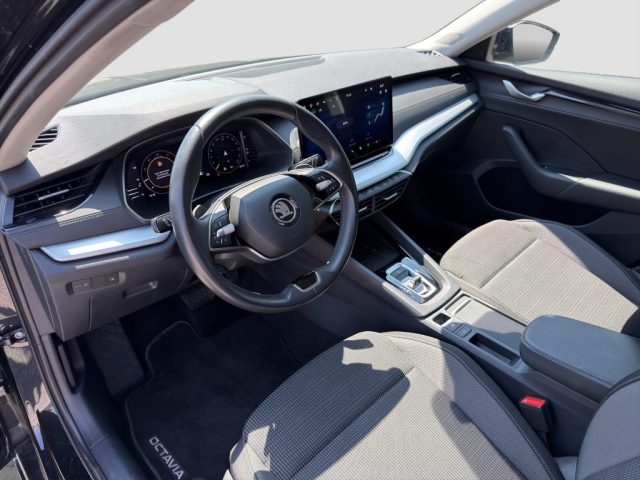 SKODA Octavia usata 8