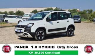 FIAT Panda Cross usata, con Boardcomputer