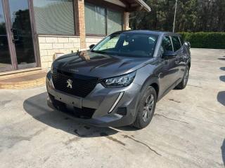 PEUGEOT 2008 BlueHDi 110 S&S Active Pack