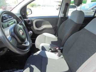 FIAT Panda usata 17