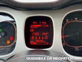 FIAT Panda Cross usata, con Controllo automatico clima