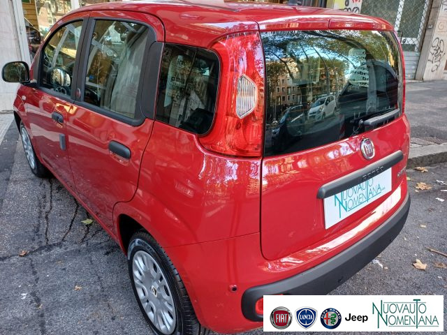 FIAT Panda usata, con Immobilizzatore elettronico