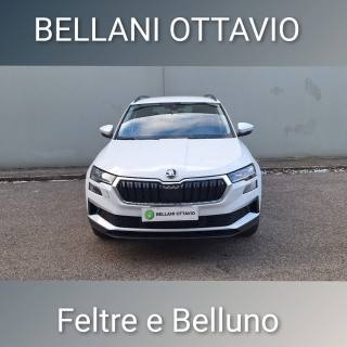 SKODA Karoq usata, con Autoradio