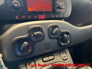 FIAT Panda usata 21