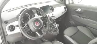 FIAT 500 usata 41