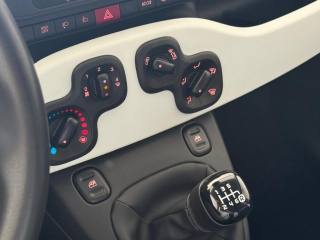 FIAT Panda Cross usata, con Servosterzo